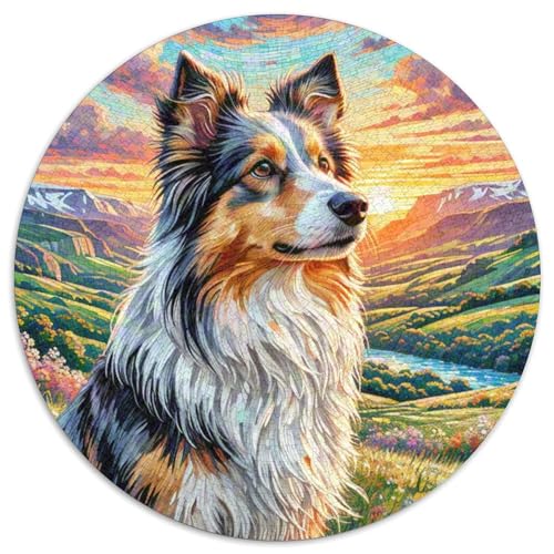 Shetlandsherhund 1000 Stück Puzzle Rund Puzzles Erwachsene Und Kinder Guter Freund Partner Haustier Geschicklichkeitsspiel Geschenk Spielabende Lernen Fordernde Kleinkinder (67.5x67.5cm) von CDFABYTEM