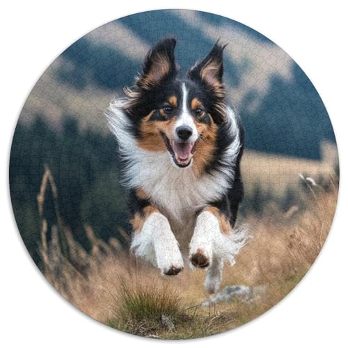 Shetlandsherhund Rund Puzzles 1000 Teile Erwachsene Und Kinder Puzzle Legespiel Spiele Geschicklichkeitsspiel Geschenk Spielabende Lernen Fordernde Kleinkinder 1000pcs (67.5x67.5cm) von CDFABYTEM