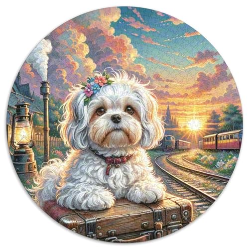 maltesisch Rund Puzzles 1000 Teile Erwachsene Und Kinder Puzzle Guter Freund Partner Haustier Abbauen Impossible Stress Stressfreisetzung Anspruchsvoll Kreative Heimdekoration (67.5x67.5cm) von CDFABYTEM