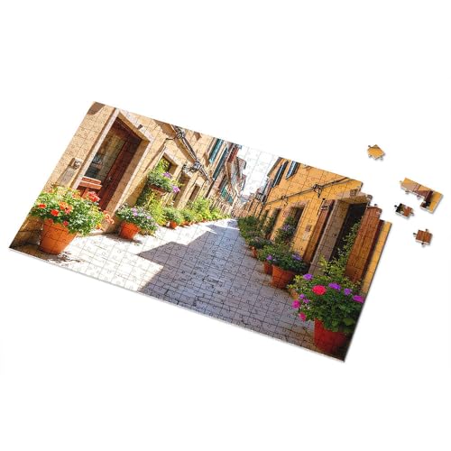 300-teiliges Puzzle, bunte Straßenszene mit Topfblumen, Bilderpuzzle, 300-teiliges Puzzle für Kleinkinder 2–4 (1000 Teile) von CDSS