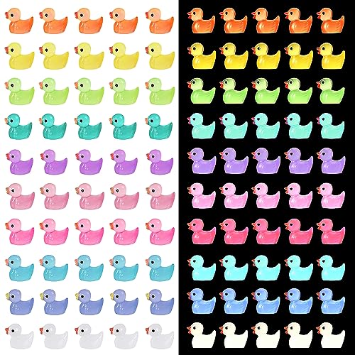 50 Stück leuchtende Mini-Enten aus Kunstharz, Bunte kleine Enten, winzige Plastikenten, leuchtende Mini-Enten für Bonsai-Landschaftsornamente, DIY-Dekoration von CENCERY