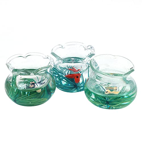 CENPEK Goldfischglas mit Fischglas, 1:12, 3 Stück von CENPEK