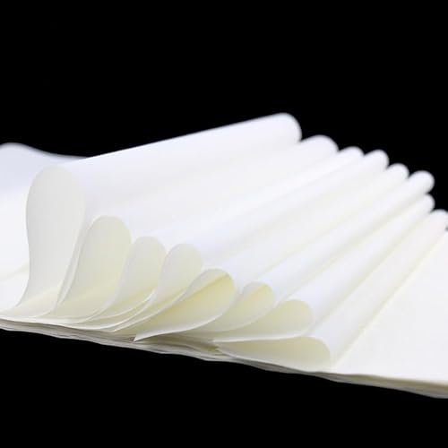 CEVILIA Papier Magic Tools für Zauberstäbe, Magisches Verbrauchsmaterial Papier für Zauberstab Blätter Papier Cool Magic Tricks Tools Party Zubehör (5 St. 25x20cm) von CEVILIA