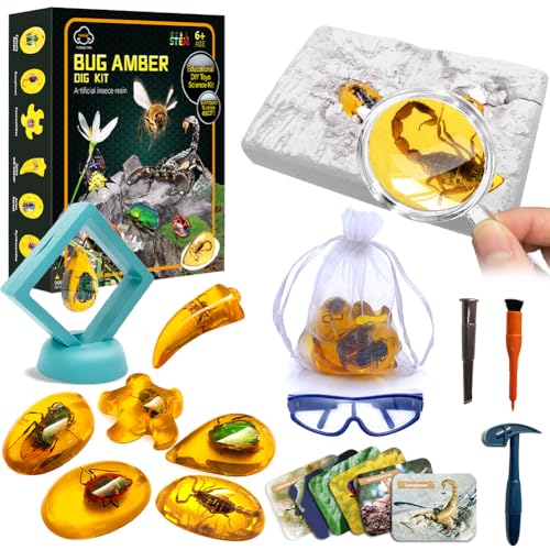 CEWROM Bernstein Ausgrabungsset für Kinder, Künstliche Insektenfossilien, Fossilien Ausgrabungsset Experimente Kinder Spielzeug Geschenke Weihnachten Geschenkideen Junge Mädchen ab 7 8 9 10 12 Jahre CEWROM Bernstein Ausgrabungsset für Kinder, Künstliche Insektenfossilien, Fossilien Ausgrabungsset Experimente Kinder Spielzeug Geschenke Weihnachten Geschenkideen Junge Mädchen ab 7 8 9 10 12 Jahre von CEWROM