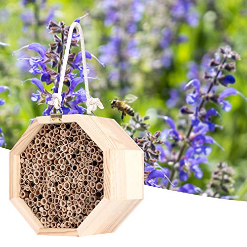 CFTGIW Holzbienenhaus Holzzimmer Hotel Nistkiste für Gartendekoration Im Freien Ihr Garde Housewood Roombee Housebee Nistingwooden Bee House von CFTGIW