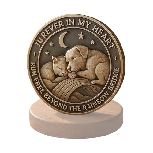 CGACCSD Gedenkmedaillon, immer Remembered für immer geliebt, kleines symbolisches Geschenk als Andenken für Freundschaft, Sympathie, Trost CGACCSD Gedenkmedaillon, immer Remembered für immer geliebt, kleines symbolisches Geschenk als Andenken für Freundschaft, Sympathie, Trost von CGACCSD