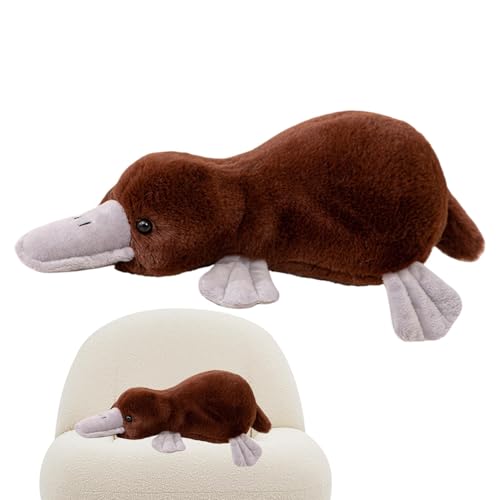 CGACCSD Stofftier, Stofftier Plüsch | Realistisches, niedliches 15-Zoll-Spielzeugtier mit Entenschnabel,Entzückendes Plüschkissen mit australischem Tiermotiv für Erwachsene, Kinder und Mädchen CGACCSD Stofftier, Stofftier Plüsch | Realistisches, niedliches 15-Zoll-Spielzeugtier mit Entenschnabel,Entzückendes Plüschkissen mit australischem Tiermotiv für Erwachsene, Kinder und Mädchen von CGACCSD