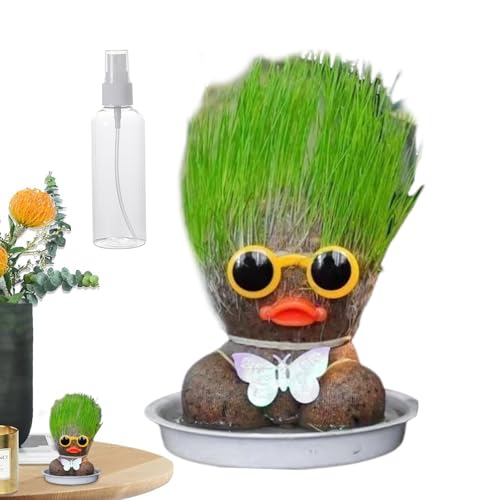 CGACCSD Wachsende Graskopfpuppe, Graskopfpuppe Pflanze,Mini -Grashead -Haare Wachsen Spielzeug | Bildungsvorräte mit Tabletts und Sprühflaschen, um Kinder zu kultivieren, die die Fähigkeit zur von CGACCSD