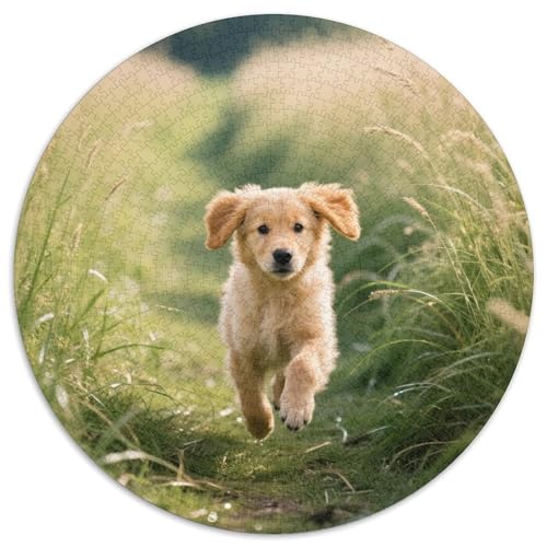 Hund 1000 Teiliges Kreispuzzle Für Erwachsene Und Kinder Hund | Hochwertiges Puzzle-Set | Kreatives Freizeitvergnügen | 1000pcs (67.5x67.5cm) von CGANBKEPR