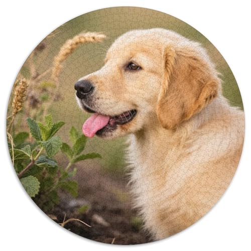 Hund 1000 Teiliges Rundpuzzle Für Erwachsene Und Kinder Hund | Lieblings-Aktivität Zu Hausee | Kreatives Vergnügen | 1000pcs (67.5x67.5cm) von CGANBKEPR