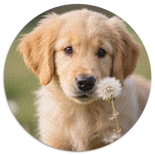 Hund 1000 Teiliges Rundpuzzle Für Jugendliche Hund | Konzentrationsübung | Kreatives Freizeitvergnügen | 1000pcs (67.5x67.5cm) von CGANBKEPR