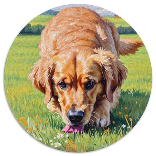 Hund 1000 Teiliges Rundpuzzle Puzzle Für Hobby-Puzzler Hund | Intelligenz-Training | Kreatives Vergnügen | 1000pcs (67.5x67.5cm) von CGANBKEPR