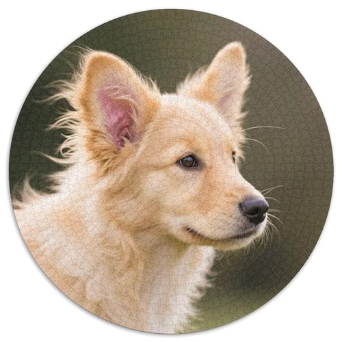 Hund 1000 Teiliges Rundpuzzle Puzzle Für Hobby-Puzzler Hund | Lieblings-Aktivität Zu Hausee | Kreatives Freizeitvergnügen | 1000pcs (67.5x67.5cm) von CGANBKEPR