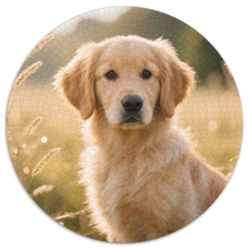 Hund 1000 Teiliges Rundpuzzle Puzzle Für Hobby-Puzzler | Intelligenz-Training | Kreatives Vergnügen | 1000pcs (67.5x67.5cm) von CGANBKEPR