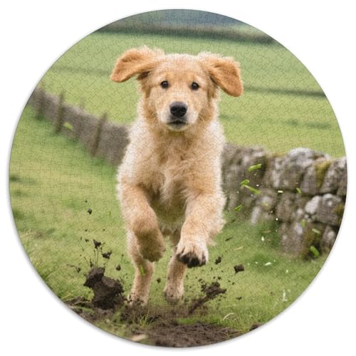 Hund 1000 Teiliges Rundpuzzle Puzzle Für Hobby-Puzzler | Lieblings-Aktivität Zu Hausee | Kreatives Vergnügen | 1000pcs (67.5x67.5cm) von CGANBKEPR