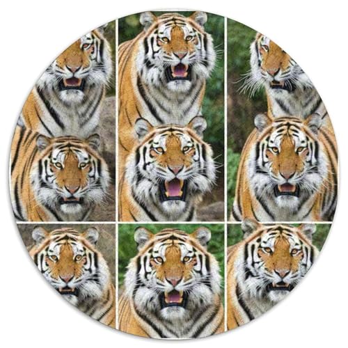 Tiger 1000 Teiliges Rundpuzzle Für Jugendliche | Konzentrationsübung | Kreatives Vergnügen | 1000pcs (67.5x67.5cm) von CGANBKEPR
