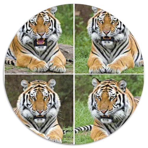 Tiger 1000 Teiliges Rundpuzzle Puzzle Für Hobby-Puzzler Animal | Hochwertiges Puzzle-Set | Kreatives Freizeitvergnügen | 1000pcs (67.5x67.5cm) von CGANBKEPR