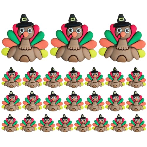 CGTQROVR 25pcs Truthahndekor CGTQROVR 25pcs Truthahndekor von CGTQROVR