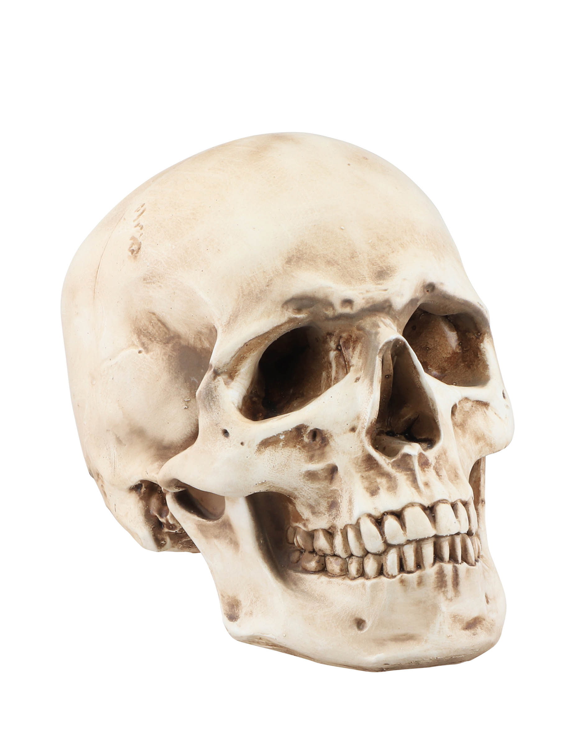 Halloween Totenkopf aus Harz 21cm Halloween Totenkopf aus Harz 21cm von CHAKS