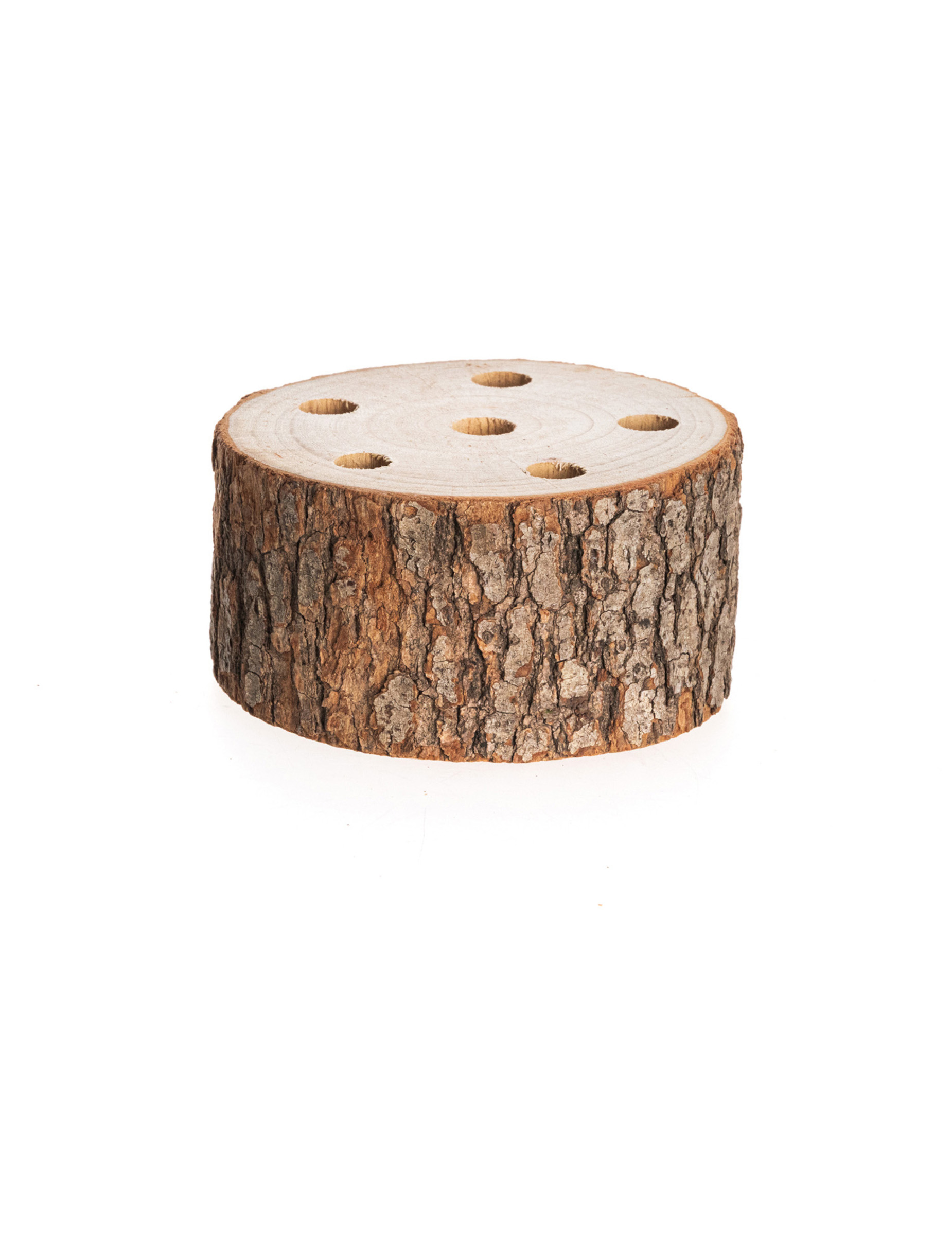 Holzscheibe als Trockenblumenhalter 10 x 4 cm mit 6 Löchern Holzscheibe als Trockenblumenhalter 10 x 4 cm mit 6 Löchern von CHAKS