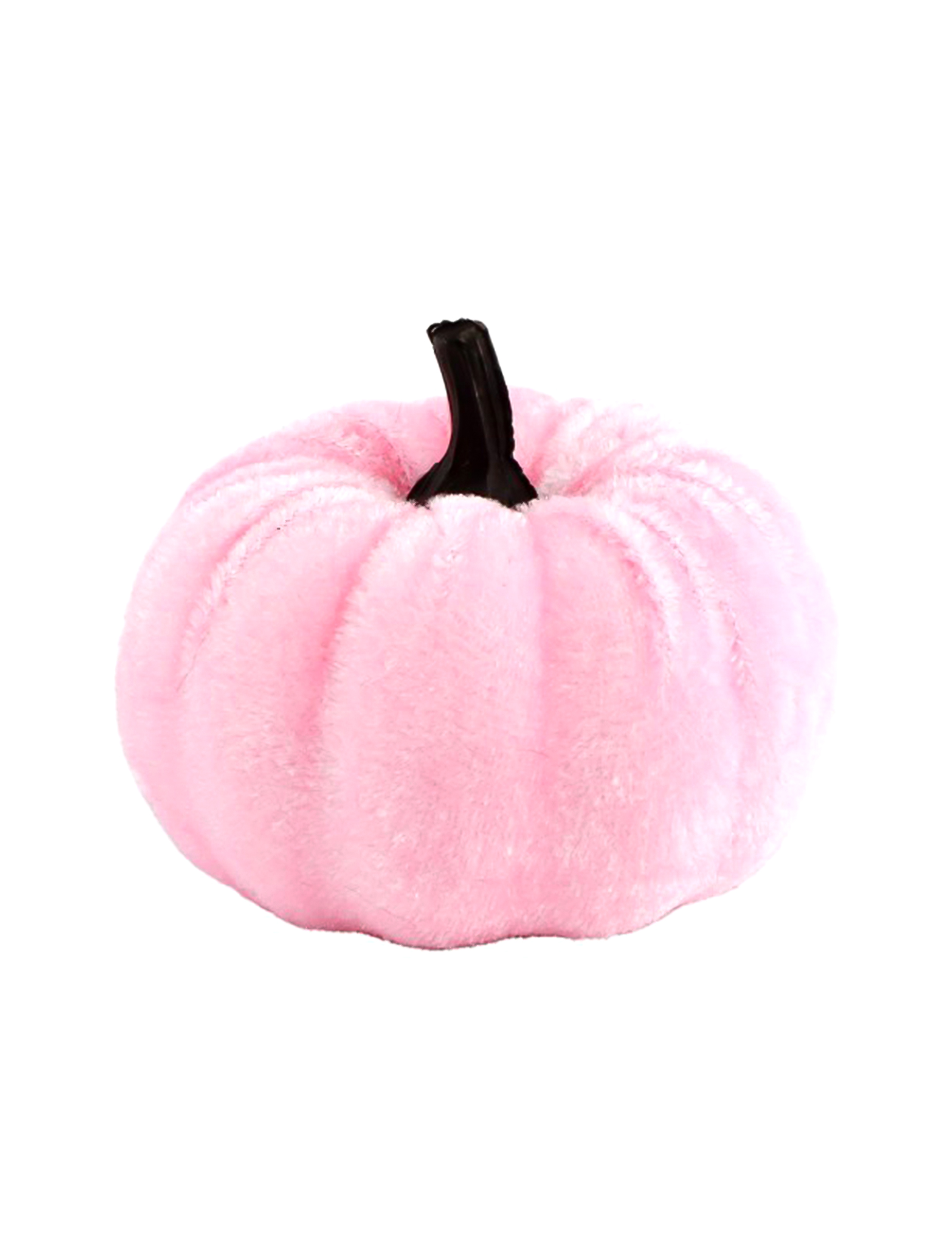 Samt-Kürbis in Pastellrosa 7 cm Samt-Kürbis in Pastellrosa 7 cm von CHAKS
