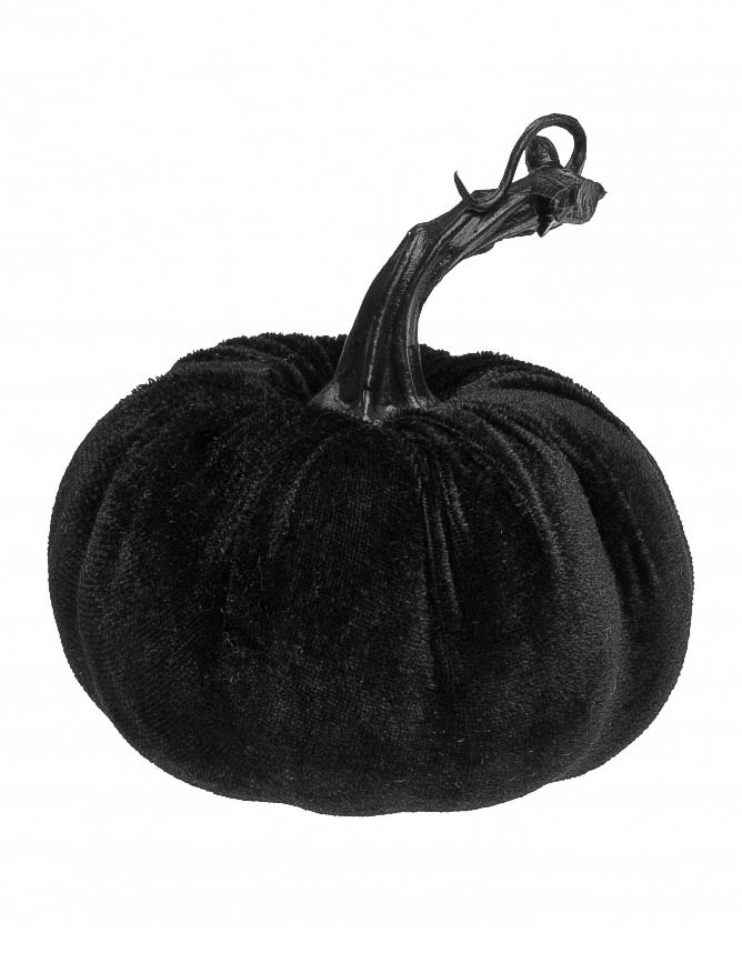 Samtkürbis in Schwarz 10 cm Samtkürbis in Schwarz 10 cm von CHAKS
