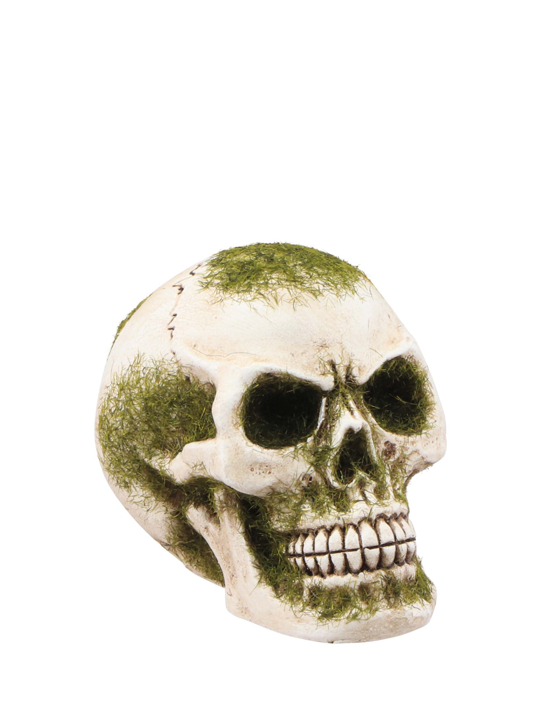 Totenkopf aus Kunstharz mit Moosoptik 7 cm Grün Halloween Totenkopf aus Kunstharz mit Moosoptik 7 cm Grün Halloween von CHAKS