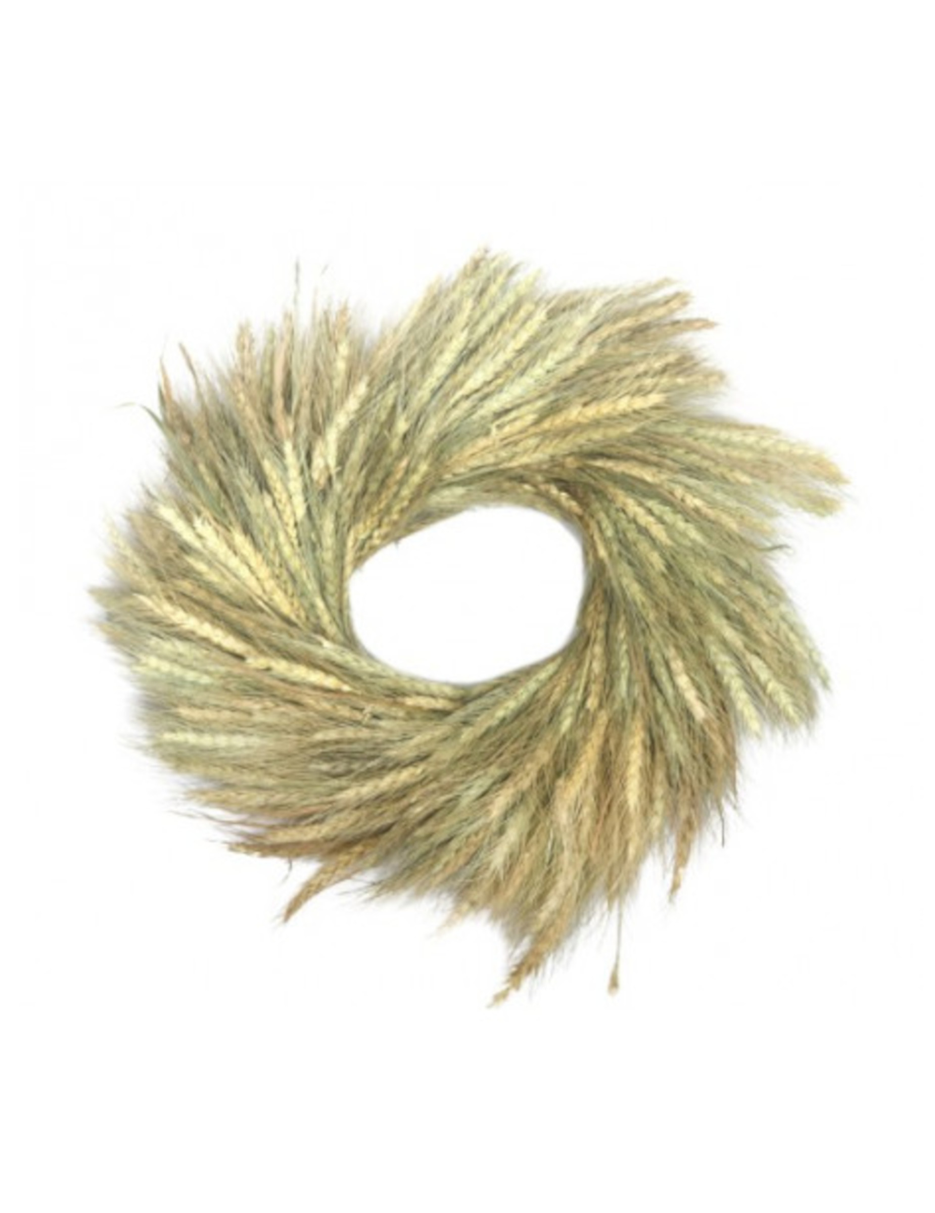 Weizenähren-Kranz 38 cm, natürliche Landhaus-Deko Weizenähren-Kranz 38 cm, natürliche Landhaus-Deko von CHAKS
