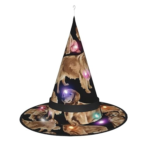 CHARMERM Golden Retrievers Halloween Hexenhüte mit LED-Lichtern Leuchtender Hexenhut für Damen von CHARMERM