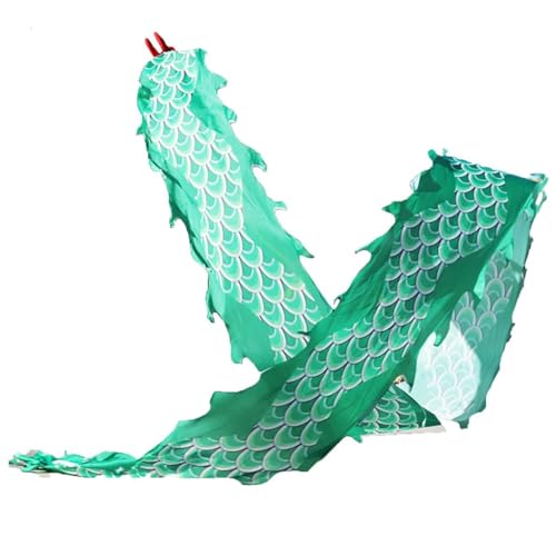 Dragon Dance Streamer Fitness, 6 m, 8 m, 10 m, 12 m lang, Wurfschlangen für Band, Spielzeug für Kinder, Anfänger, Jongliersets (Gr n, 10 m) von CHENHOJU