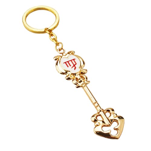 FairysTail Twelve Signs Anhänger Anime Charakter Cosplay Zubehör FairysTail Metall Kette Schmuck (D) von CHENJIRA