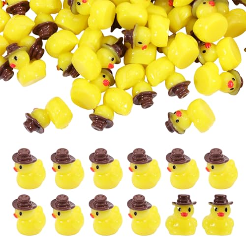 CHGCRAFT 150 Stück Mini Harz Cowboy Enten Harz Enten Skulptur Display für DIY Garten Haus Büro Schreibtisch Dekorationen von CHGCRAFT