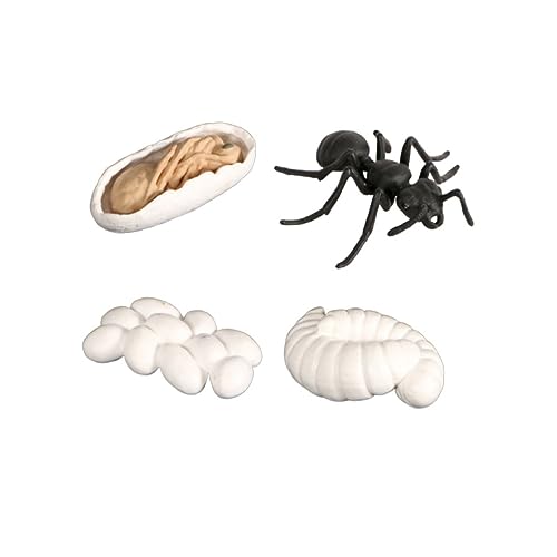 CHICAMPERA 1 Satz Ant Evolution Display Model Set Realistische Ameisen Wachstumsstadien Dekoration für Familie und Freunde für Lernprojekte und Kreative Bastelideen CHICAMPERA 1 Satz Ant Evolution Display Model Set Realistische Ameisen Wachstumsstadien Dekoration für Familie und Freunde für Lernprojekte und Kreative Bastelideen von CHICAMPERA