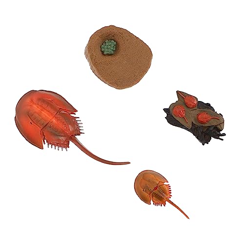 CHICAMPERA 1 Satz Mini Simulation Meereslebewesen Spielzeugset Umweltfreundliche Tierfiguren für Lernspielzeug für Lebenszyklus von Ozeanbewohnern Robust und Korrosionsbeständig für CHICAMPERA 1 Satz Mini Simulation Meereslebewesen Spielzeugset Umweltfreundliche Tierfiguren für Lernspielzeug für Lebenszyklus von Ozeanbewohnern Robust und Korrosionsbeständig für von CHICAMPERA