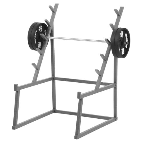 CHICAMPERA 1satz Miniatur Fitness Modell Mit Hanteln Realistisches Barbell Spielzeug Für Puppenhaus Dekoration Und Mini Landschaftsdesign Für Kreatives Und Sammler CHICAMPERA 1satz Miniatur Fitness Modell Mit Hanteln Realistisches Barbell Spielzeug Für Puppenhaus Dekoration Und Mini Landschaftsdesign Für Kreatives Und Sammler von CHICAMPERA