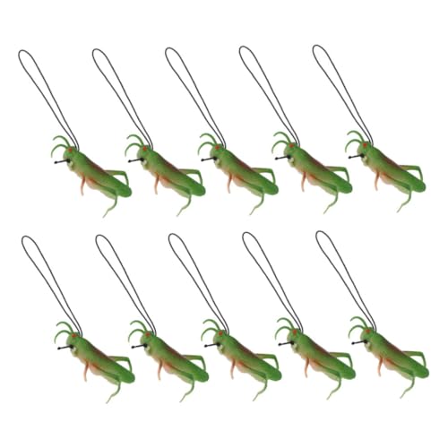 CHICAMPERA 10 Stück Heuschreckenmodellspielzeug Fehler für Tiermodell Partybevorzugungskäfer Tier für Party Gefälligkeiten gefälschtes Tier Green CHICAMPERA 10 Stück Heuschreckenmodellspielzeug Fehler für Tiermodell Partybevorzugungskäfer Tier für Party Gefälligkeiten gefälschtes Tier Green von CHICAMPERA