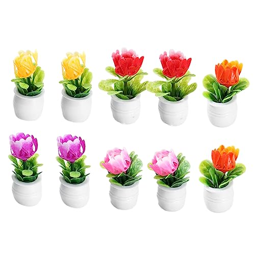 CHICAMPERA 10 Stück Simulierte Topfverzierung Kunstpflanze Winziges Gefälschtes Bonsai- Kleine Künstliche Topfpflanzen Miniatur Bonsai Minipflanzen Für Puppenhaus Harz CHICAMPERA 10 Stück Simulierte Topfverzierung Kunstpflanze Winziges Gefälschtes Bonsai- Kleine Künstliche Topfpflanzen Miniatur Bonsai Minipflanzen Für Puppenhaus Harz von CHICAMPERA