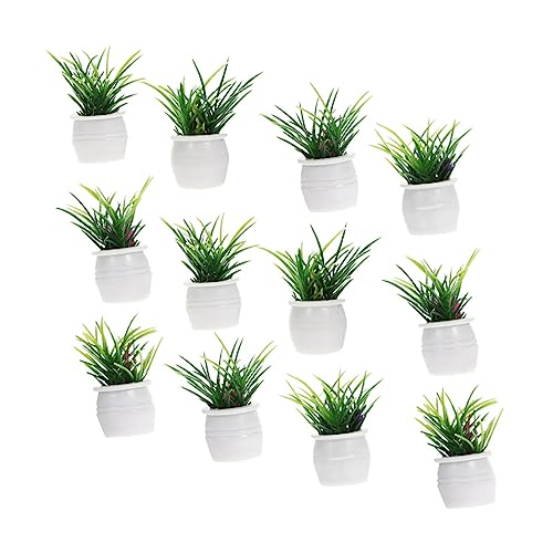 CHICAMPERA 12 Stück Kleine Topfpflanzenornamente Fälschung Eukalyptus Blumen Künstlich Anlage Puppe Fee Miniatur Mini-topfpflanze Simulationsbonsai Kleiner Bonsai Harz CHICAMPERA 12 Stück Kleine Topfpflanzenornamente Fälschung Eukalyptus Blumen Künstlich Anlage Puppe Fee Miniatur Mini-topfpflanze Simulationsbonsai Kleiner Bonsai Harz von CHICAMPERA