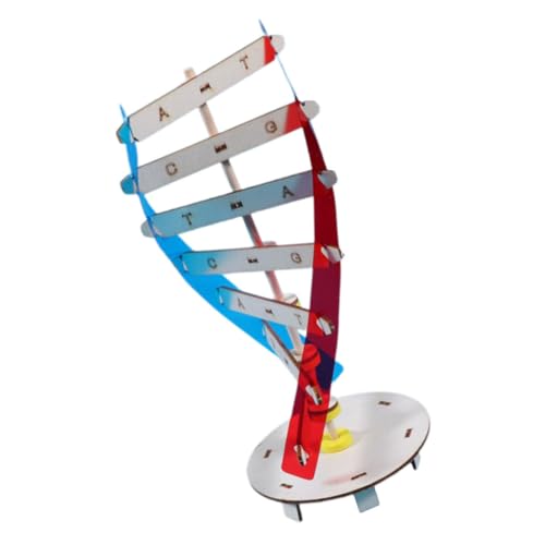 CHICAMPERA 1Satz DIY Doppelhelix DNA Modellset für Interaktives Lernspielzeug Biologieverständnis und Feinmotorik für Unterricht und Wissenschaftsprojekte CHICAMPERA 1Satz DIY Doppelhelix DNA Modellset für Interaktives Lernspielzeug Biologieverständnis und Feinmotorik für Unterricht und Wissenschaftsprojekte von CHICAMPERA