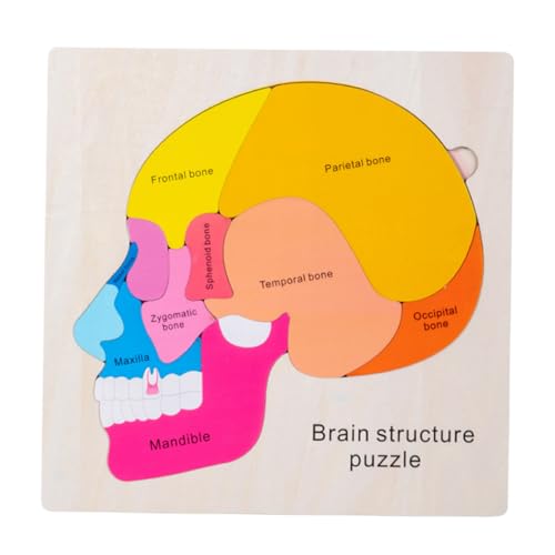 CHICAMPERA 1Satz Gehirnstruktur Puzzle aus Holz Lernspielzeug für Interaktives Eltern Junge Mädchen Fördert Kognitive Fähigkeiten und Praktische Fertigkeiten für Vorschulkinder CHICAMPERA 1Satz Gehirnstruktur Puzzle aus Holz Lernspielzeug für Interaktives Eltern Junge Mädchen Fördert Kognitive Fähigkeiten und Praktische Fertigkeiten für Vorschulkinder von CHICAMPERA