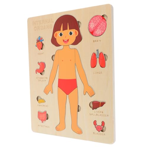CHICAMPERA 1Satz Körperpuzzle für Lernspiel zur Menschlichen Holzpuzzle für Jungen und Fördert über Körperteile für Vorschule und Kindergarten CHICAMPERA 1Satz Körperpuzzle für Lernspiel zur Menschlichen Holzpuzzle für Jungen und Fördert über Körperteile für Vorschule und Kindergarten von CHICAMPERA