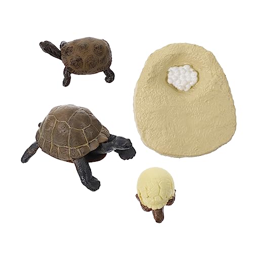CHICAMPERA 1satz Lernspielzeug Simuliertes Schildkrötenwachstum Modell Für Kognitive Entwicklung Und Frühes Lernen Für Kreatives Spielen CHICAMPERA 1satz Lernspielzeug Simuliertes Schildkrötenwachstum Modell Für Kognitive Entwicklung Und Frühes Lernen Für Kreatives Spielen von CHICAMPERA