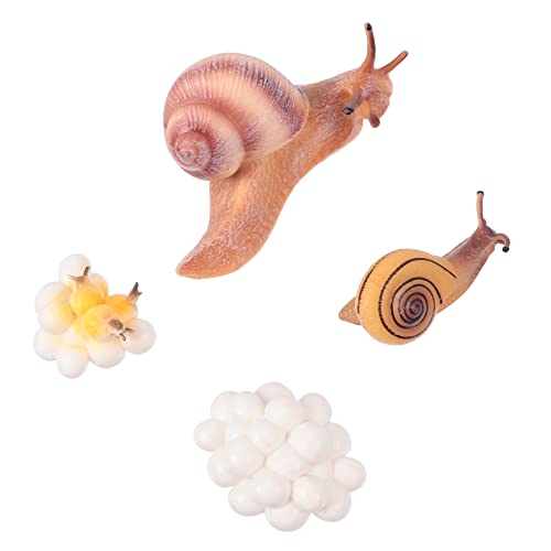 CHICAMPERA 1Satz Simulierte Tiermodelle Set Umweltfreundliche Kunststoff Spielzeuge für Dekoration Bildung und Kreatives für Garten Zuhause Lernspielzeug von CHICAMPERA