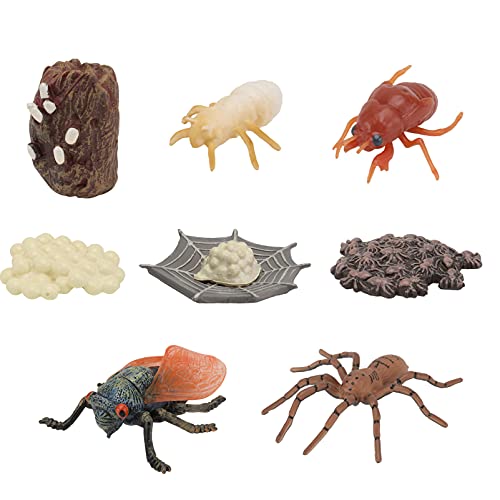 CHICAMPERA 2 Sätze Imitation Insekten Wachstumszyklen Modelle für Lernspielzeug für Naturwissenschaftliche Erziehung und Entdeckung von Lebenszyklen von CHICAMPERA