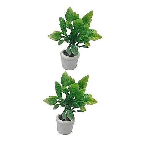 CHICAMPERA 2 Stück Mini Simulation Bonsai 1 : 12 Künstliche Topfpflanzenverzierung Für Puppenhaus von CHICAMPERA
