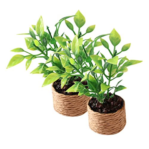 CHICAMPERA 2 Stück Mini-orangenbaum Dekoration Für Künstliche Topfpflanzen Pflanzen Mini-hausfiguren Kleine Topfornamente Mini -gartendekoration Mini-Bonsai-Figuren-Ornament Plastik CHICAMPERA 2 Stück Mini-orangenbaum Dekoration Für Künstliche Topfpflanzen Pflanzen Mini-hausfiguren Kleine Topfornamente Mini -gartendekoration Mini-Bonsai-Figuren-Ornament Plastik von CHICAMPERA