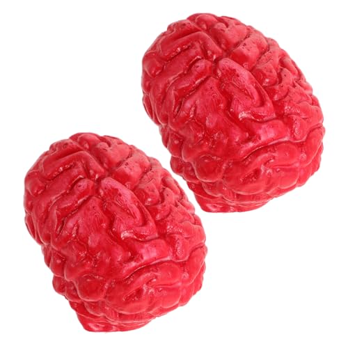 CHICAMPERA 2Stücke Gefälschte Menschliche Gehirne Halloween Körperorgane Requisiten Aus Realistische Simulationsgehirne Für Grusel Dekorationen CHICAMPERA 2Stücke Gefälschte Menschliche Gehirne Halloween Körperorgane Requisiten Aus Realistische Simulationsgehirne Für Grusel Dekorationen von CHICAMPERA