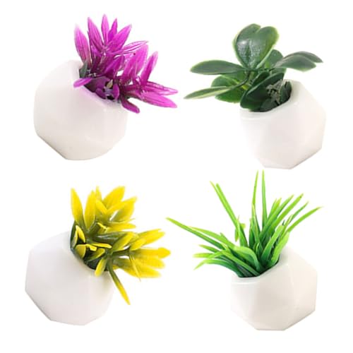 CHICAMPERA 4 Stück Puppenhausdekoration Mini Klein Pflanzen Zubehör Für Puppenhäuser Anlage Gefälscht Winzig Blumentopf- Puppenhaus Saftig Minature Dinge Simulation Saftig Harz von CHICAMPERA