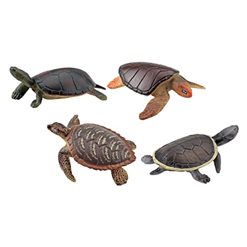 CHICAMPERA 4Stücke Lebensechte Schildkrötenfiguren aus Kunststoff Realistische Miniaturspielzeuge für Schreibtischdekoration und Lernspielzeug für von CHICAMPERA