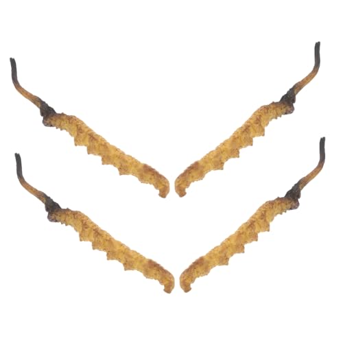 CHICAMPERA 4pcs Cordyceps Modell Für Traditionelle Medizinische Geschäfte Dekorationen Chinesische Medizinschrank Requisiten Simulierte Medizinische Materialien Für Arztzubehör CHICAMPERA 4pcs Cordyceps Modell Für Traditionelle Medizinische Geschäfte Dekorationen Chinesische Medizinschrank Requisiten Simulierte Medizinische Materialien Für Arztzubehör von CHICAMPERA